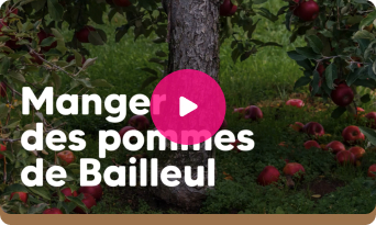 Voir la vidéo « Manger des pommes de Bailleul »